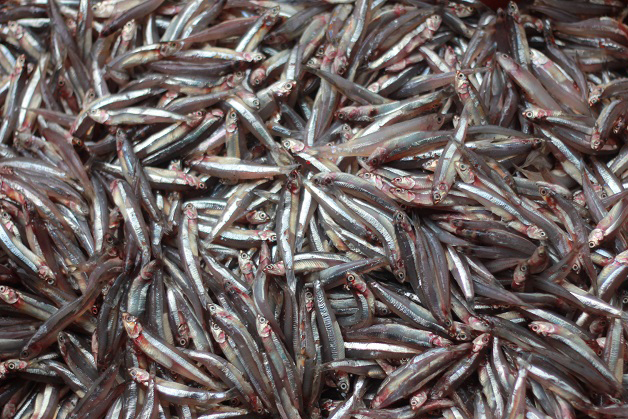 Nước mắm Phan Thiết