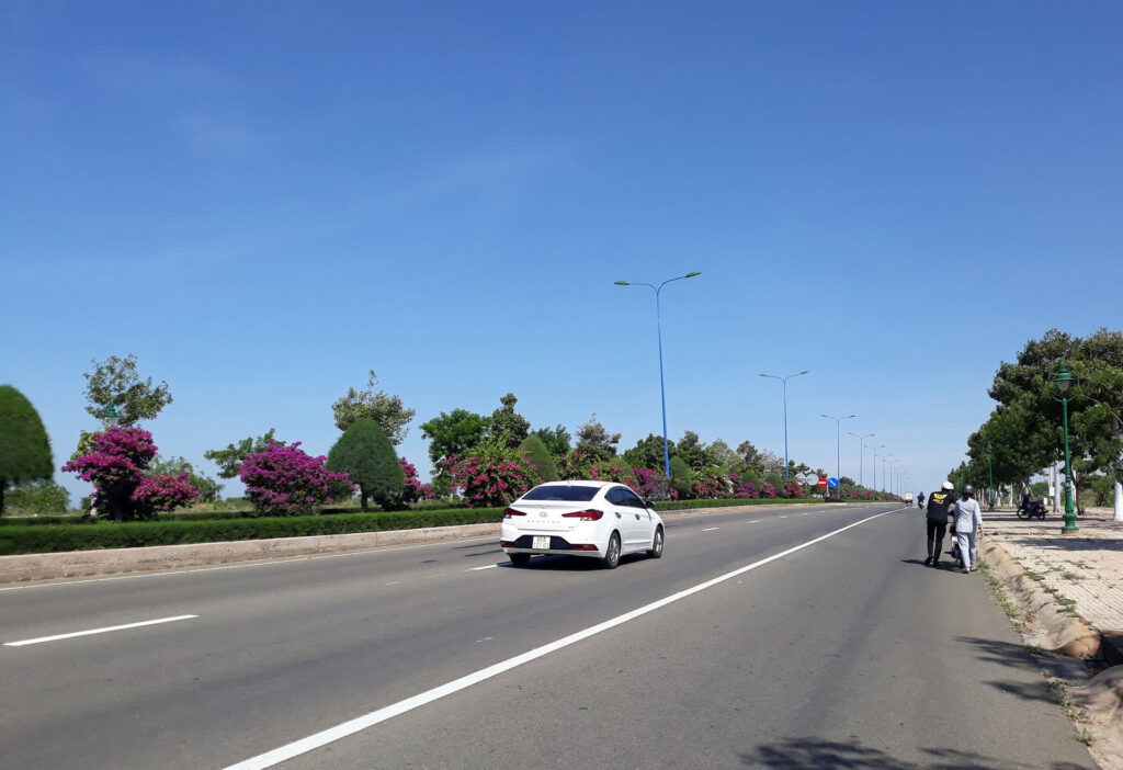hoa bằng lăng