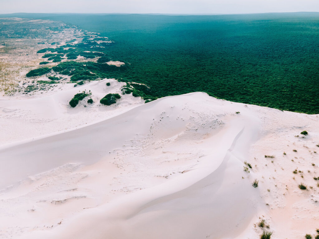 Bàu Trắng - Cung đường phủ 'tuyết' gần Phan Thiết